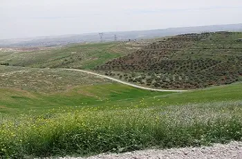 موقع مدينة الرصيفة